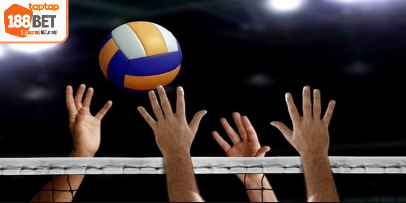 Cá cược bóng chuyền 188BET đang trở thành một trong những lựa chọn hàng đầu